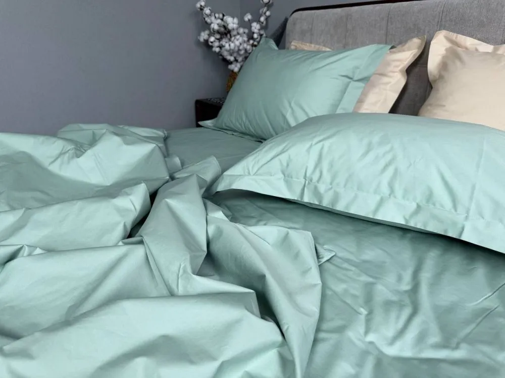 Комплект постільної білизни PERCALE PREMIUM Sagebrash P200 (2)
