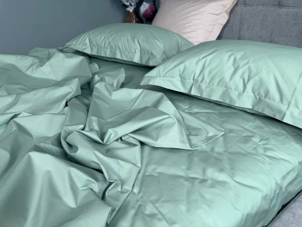 Комплект постільної білизни PERCALE PREMIUM Sagebrash P200 (3)