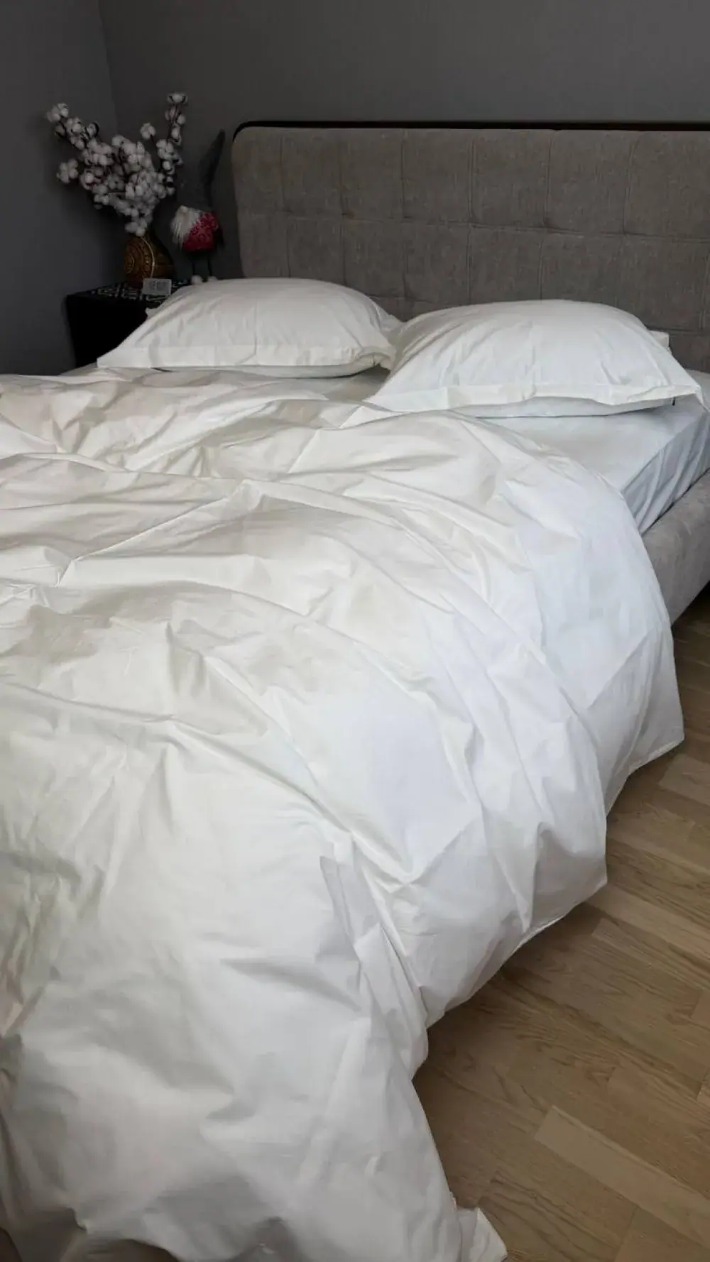 Комплект постільної білизни PERCALE PREMIUM, Milk P101 (6)
