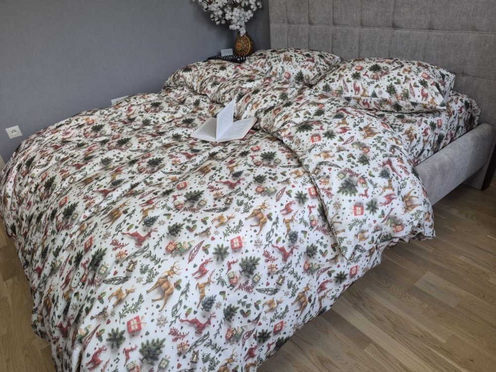 Постільна білизна з фланелі Різдвяні історії, Turkish flannel 5D (7)