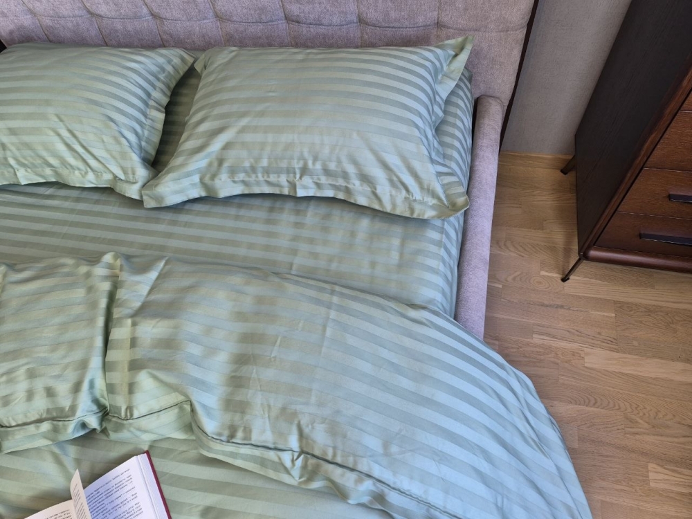 Постельное белье сатин мульти-страйп Stripe PREMIUM GARDEN MINT 2/2см (7)