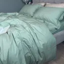 Іконка PERCALE PREMIUM Sagebrash P200 (5)