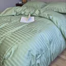 Иконка Stripe PREMIUM GARDEN MINT 2/2см (6)
