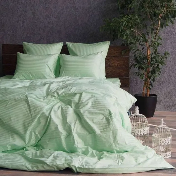 Комплект постільної білизни Stripe LUX SOFT MINT 1x1см (1)