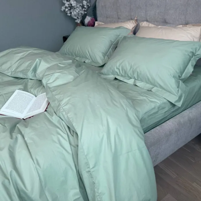 Комплект постільної білизни PERCALE PREMIUM Sagebrash P200 (1)