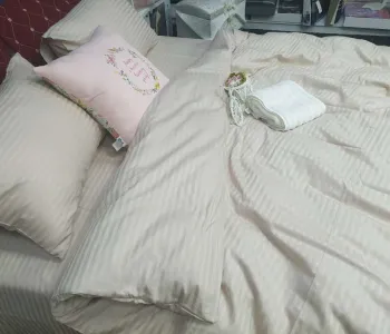 Комплект постільної білизни Stripe LUX LIGHT BEIGE 1x1см