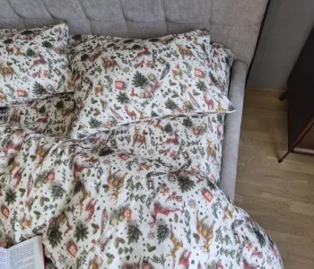 Різдвяні історії, Turkish flannel 5D