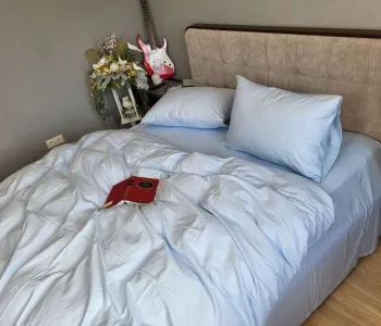 Блакитний Turkish flannel комплект постільної білизни