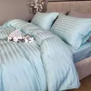 Іконка Stripe PREMIUM, LAGOON 2x2см (1)