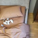 Іконка SOLO №S121, cotton (1)