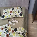 Иконка Карамелька оливк. GOFRE DUO (1)