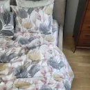 Иконка Антуриум Turkish flannel (1)